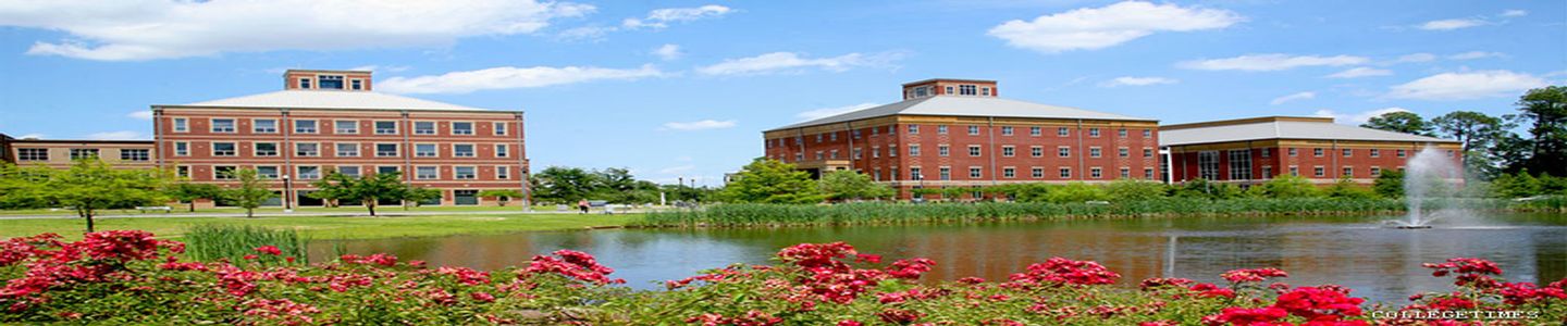 Georgia Southern University banner