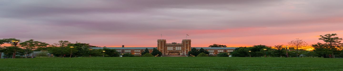 Washington University banner
