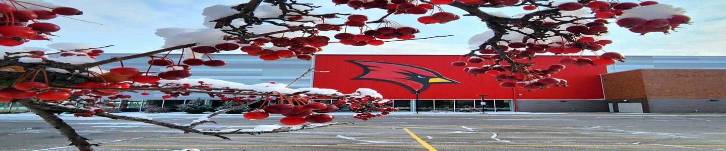 Saginaw Valley State University banner
