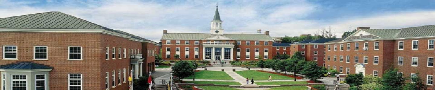 St. Thomas University banner