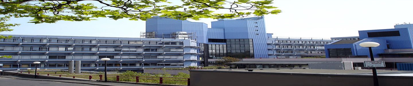 University of Siegen banner