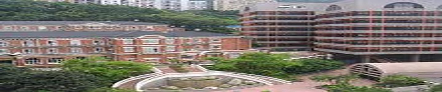 The University of Hong Kong banner