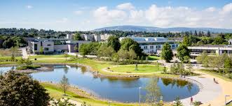 UCD