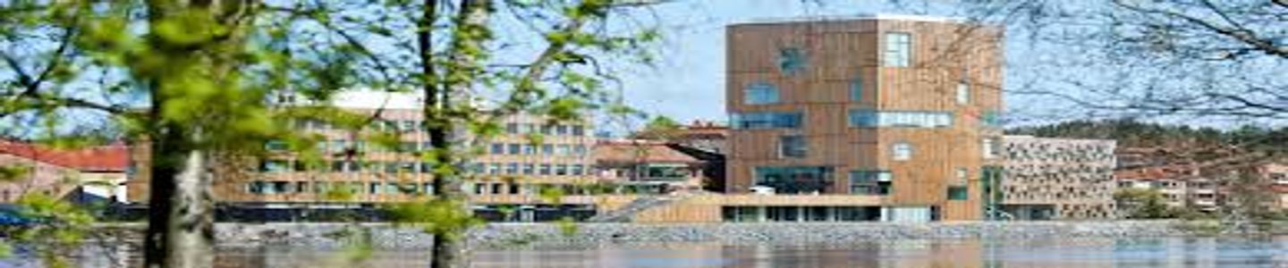 Umea University banner
