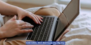 ICAR AIEEA, AICE 2023 Exam City Slip Out on icar.nta.nic.in, Check Details & Download Here