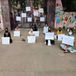 RDW University Students Demand to Cancel End Semester Exams