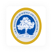 SRMJEEE 2024 Phase 2 Seat Allotment Out @srmist.edu.in, Pay Fee till July 10