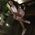 Sapna Malik's profile photo