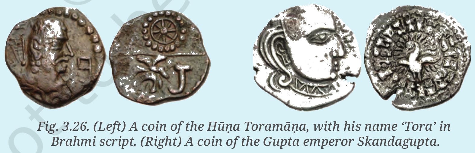 Fig.&nbsp;3.26, NCERT Exploring Society: India and Beyond Class 7 Part 2, Chapter 3.