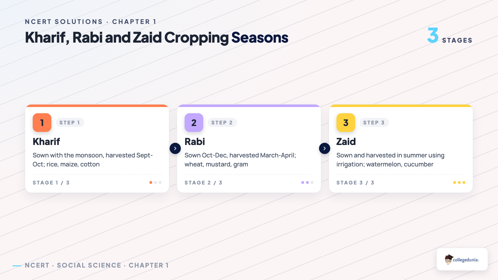 Kharif Rabi and Zaid cropping seasons of India explained with sowing and harvest months