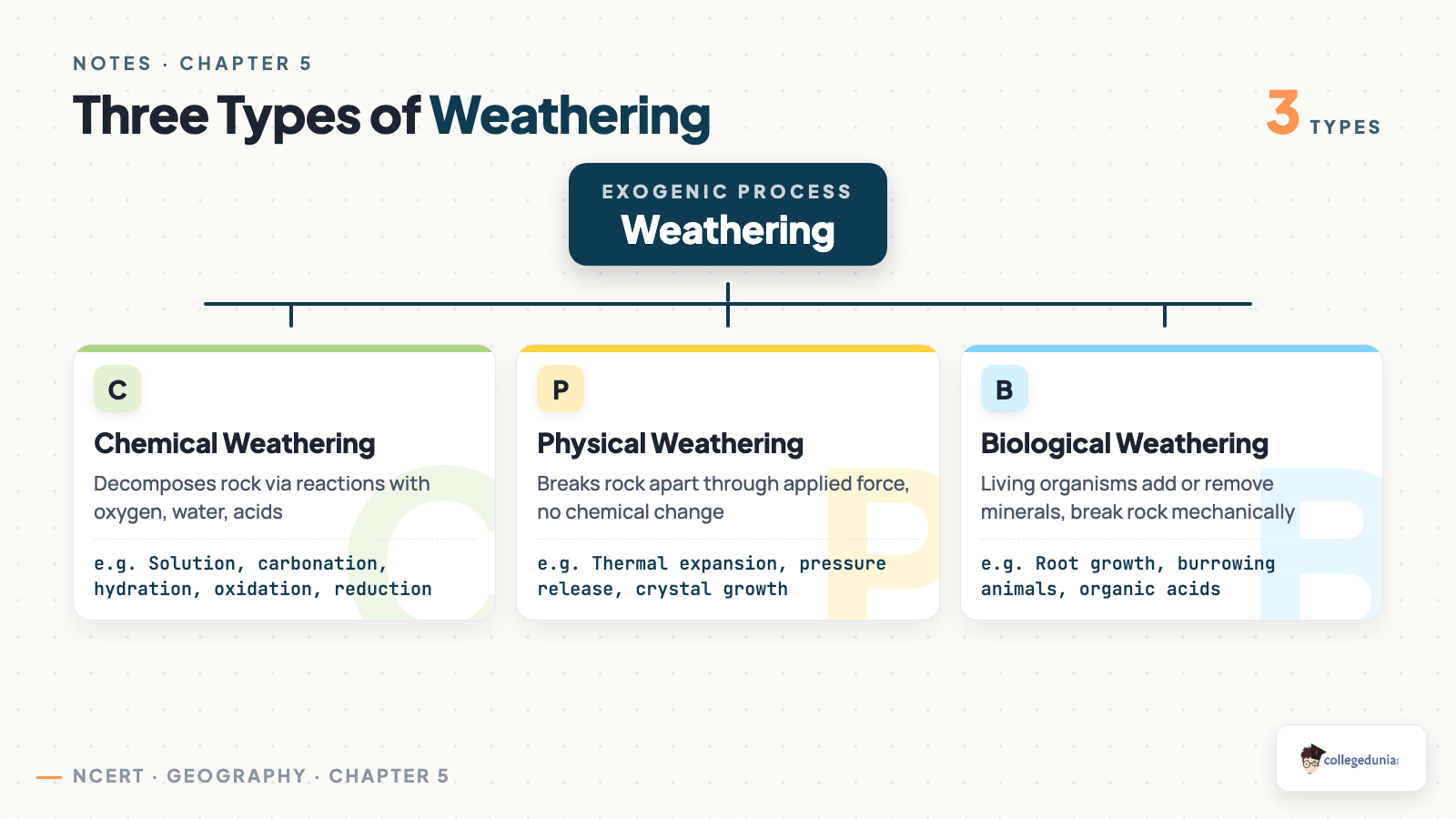 Classification tree showing chemical, physical and biological weathering for Class 11 Geography