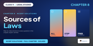 NCERT Solutions for Class 11 Legal Studies Sources of Laws