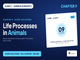 public/image/1790326498_ncertsolutionsclass7sciencecuriositychapter9lifeprocessesinanimals.png