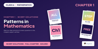 Class 6 Maths Chapter 1 Patterns NCERT Solutions 2026-27