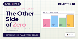 Class 6 Maths Chapter 10 The Other Side of Zero NCERT Solutions