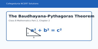 NCERT Solutions for Class 8 Maths The Baudhayana-Pythagoras Theorem