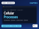 public/image/1791058389_ncerthandwrittennotesclass11biotechnologychapter5cellularprocesses.png