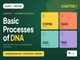 public/image/1791061594_ncerthandwrittennotesclass11biotechnologychapter7basicprocessesofdna.png