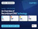 public/image/1791393909_ncertsolutionsclass12biotechnologychapter1anoverviewofrecombinantdnatechnology.png