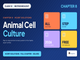 public/image/1791405280_ncertsolutionsclass12biotechnologychapter8animalcellculture.png