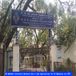 BR Ambedkar University Receives Over 4 Lakh Applications for UG Admission via CUET; Check Details Here