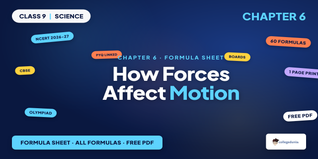 How Forces Affect Motion Class 9 Formula Sheet