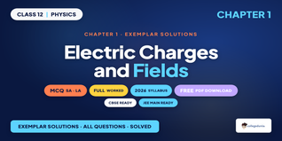 NCERT Exemplar Class 12 Physics Chapter 1 Solutions PDF