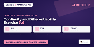 Continuity and Differentiability Class 12 NCERT Solutions Chapter 5 Ex 5.6