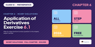 Application of Derivatives Class 12 NCERT Solutions Chapter 6 Ex 6.1