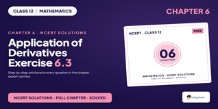 Application of Derivatives Class 12 NCERT Solutions Chapter 6 Ex 6.3
