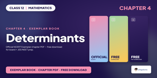 NCERT Exemplar Class 12 Maths Determinants - Class 12 Maths Ch 4