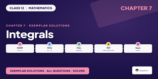 NCERT Exemplar Class 12 Maths Integrals PDF - Class 12 Maths Ch 7