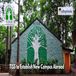 TISS Plans to Establish New Campus Abroad in Accordance with NEP; Check Details Here