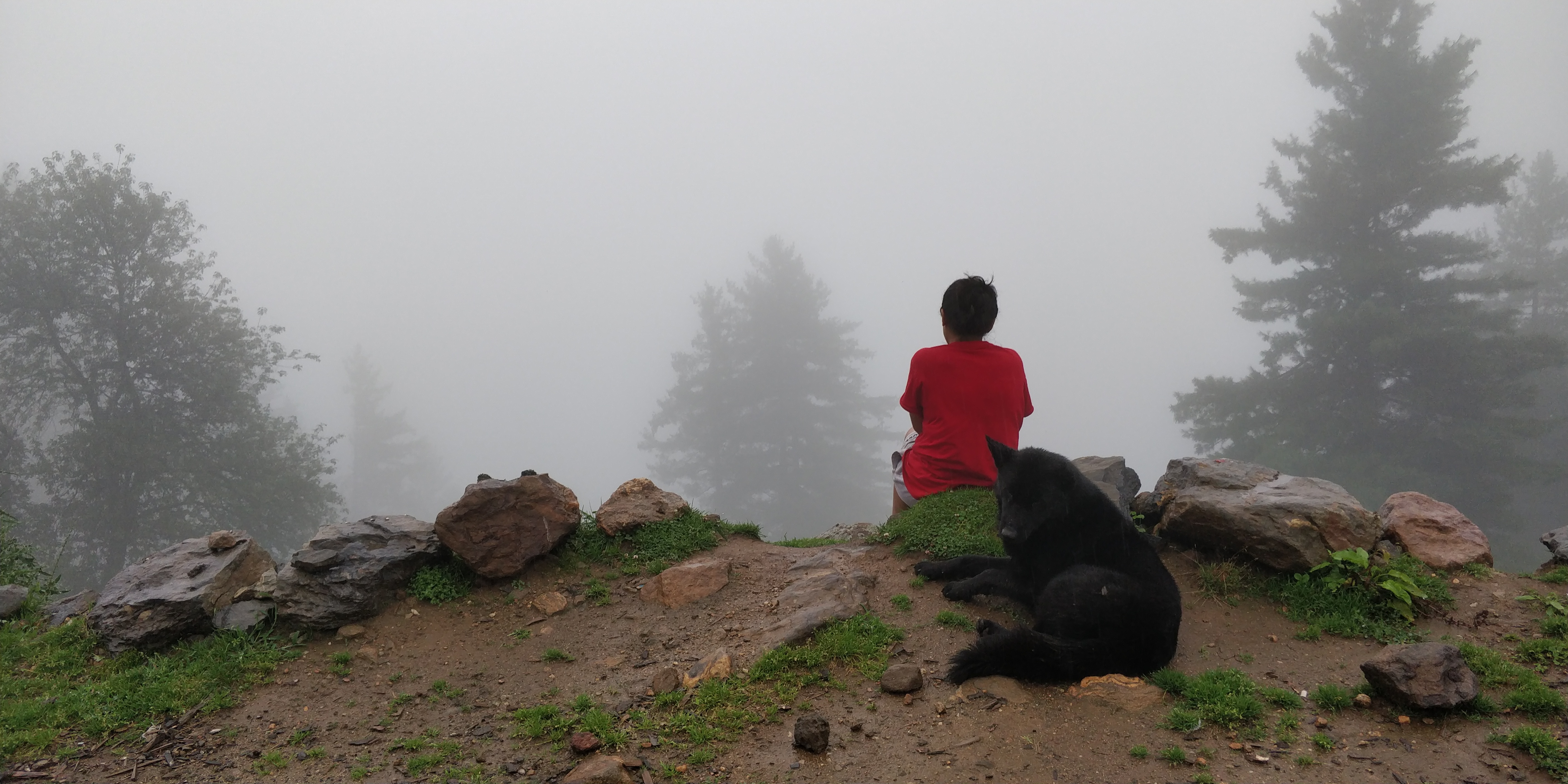Bhavya Rawal
