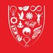 JECRC Jaipur Fee Structure 2026 Out @jecrcuniversity.edu.in; Check Course-Wise Fees
