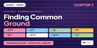 Finding Common Ground Class 7 Maths Handwritten Notes