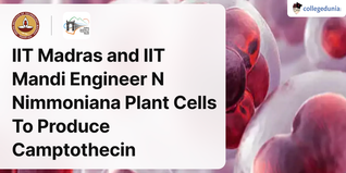 IIT Madras and IIT Mandi Engineer N Nimmoniana Plant Cells To Produce Camptothecin, an Anti-Cancer Drug