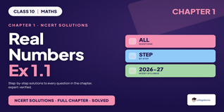 Real Numbers Class 10 Maths Exercise 1.1 NCERT Solutions