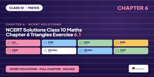 Triangles Class 10 Maths Exercise 6.1 NCERT Solutions