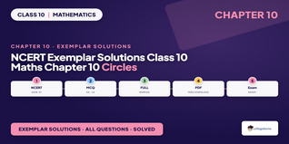 NCERT Exemplar Solutions Class 10 Maths Chapter 10
