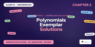 NCERT Exemplar Class 10 Maths Chapter 2 Polynomials Solutions