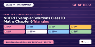 NCERT Exemplar Solutions Class 10 Maths Chapter 6 Triangles