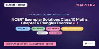 NCERT Exemplar Class 10 Maths Chapter 6 Triangles Exercise 6.1 Solutions