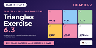 NCERT Exemplar Solutions Class 10 Maths Chapter 6 Triangles Exercise 6.3