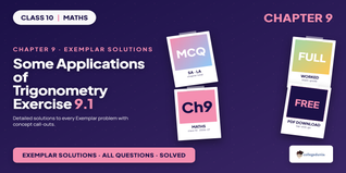 NCERT Exemplar Class 10 Maths Chapter 9 Exercise 9.1 Solutions