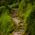 Arman Mulla's profile photo
