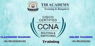 TIB ACADEMY TIB photo 2