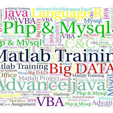 Institute of Professional Studies VTIPS . photo 3