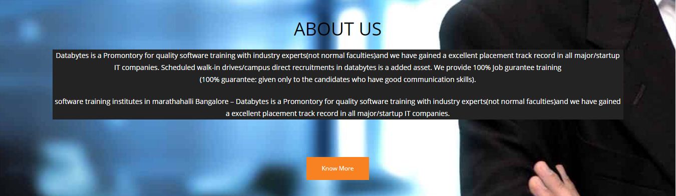 Databytes Software Training Institute : BTM btm photo 2