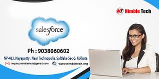Nimble Tech Salesforce photo 1